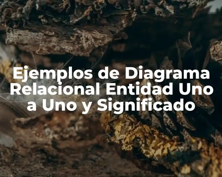 Ejemplos de Diagrama Relacional Entidad Uno a Uno y Significado