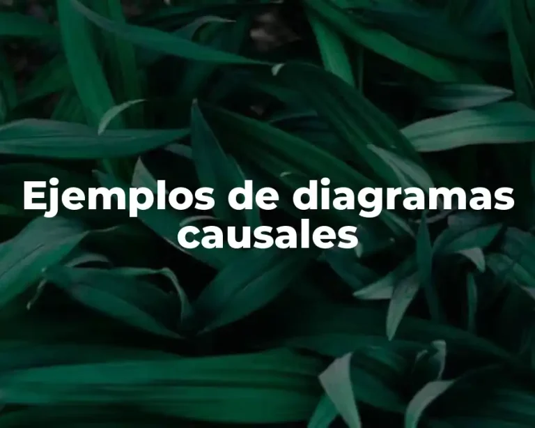 Ejemplos de diagramas causales
