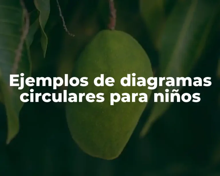 Ejemplos de diagramas circulares para niños