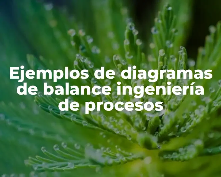 Ejemplos de diagramas de balance ingeniería de procesos
