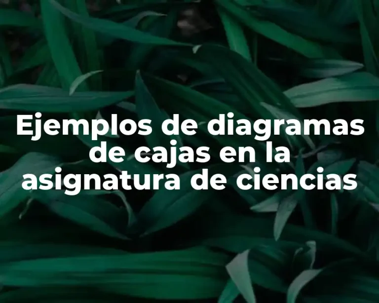Ejemplos de diagramas de cajas en la asignatura de ciencias