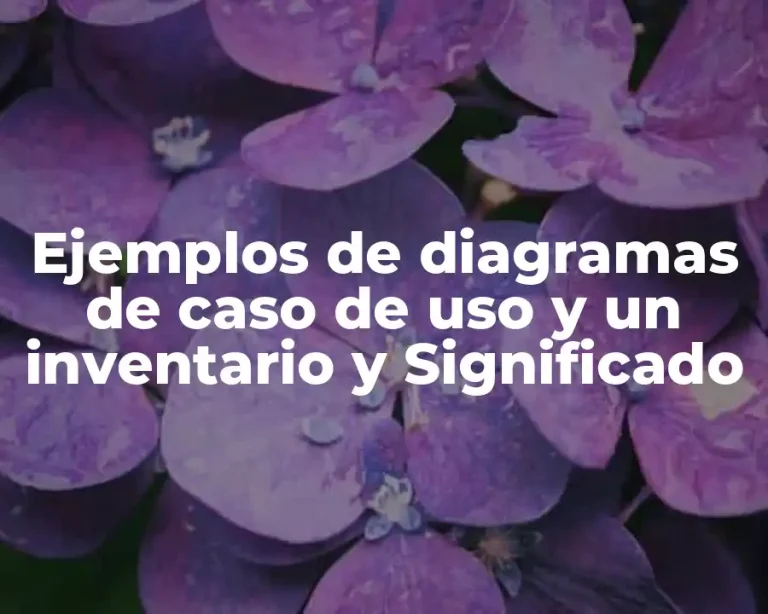 Ejemplos de diagramas de caso de uso y un inventario y Significado