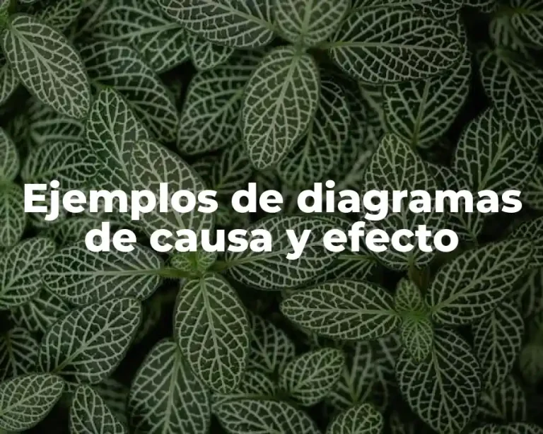 Ejemplos de diagramas de causa y efecto