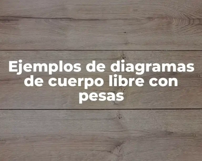 Ejemplos de diagramas de cuerpo libre con pesas