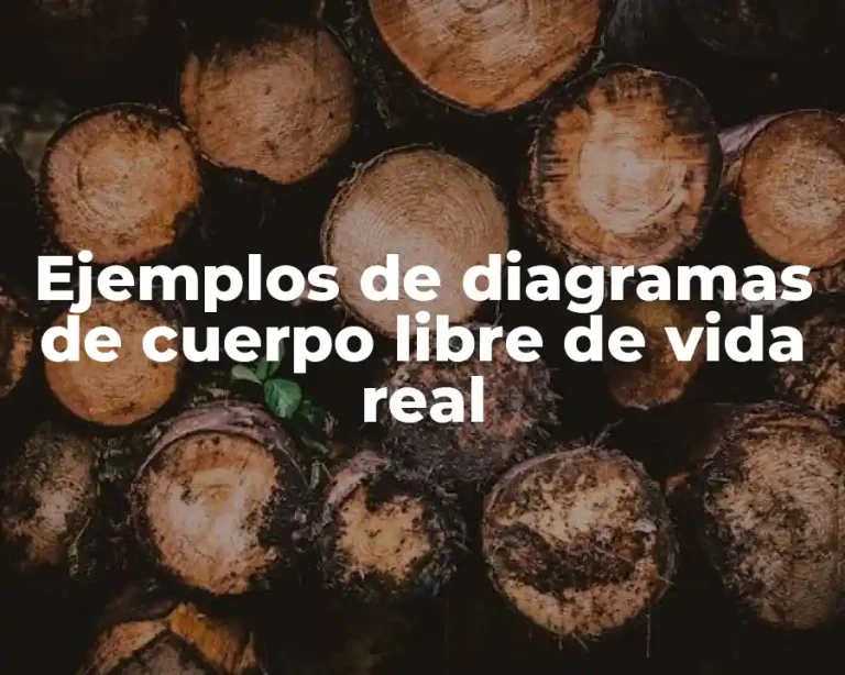 Ejemplos de diagramas de cuerpo libre de vida real