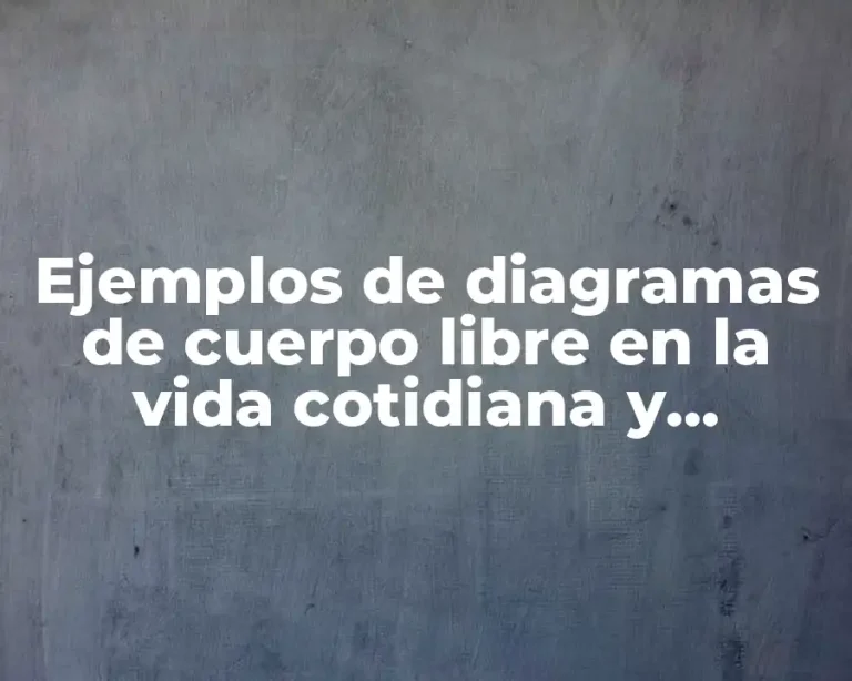 Ejemplos de diagramas de cuerpo libre en la vida cotidiana y Significado