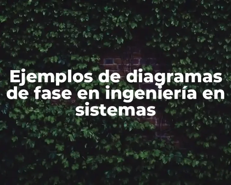 Ejemplos de diagramas de fase en ingeniería en sistemas