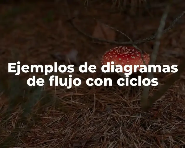Ejemplos de diagramas de flujo con ciclos