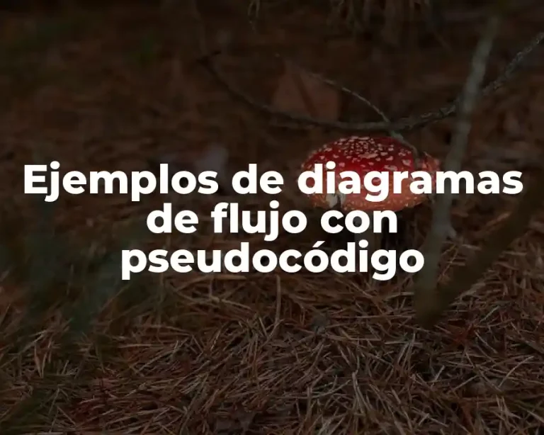 Ejemplos de diagramas de flujo con pseudocódigo