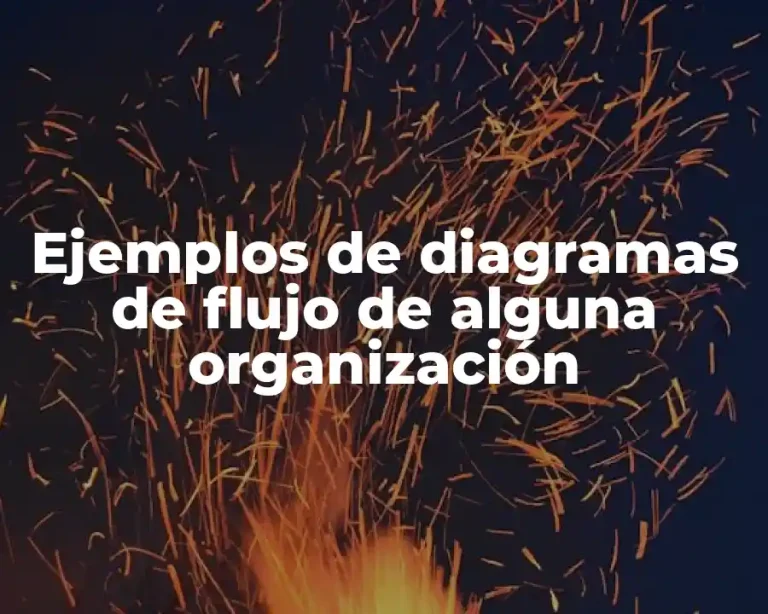 Ejemplos de diagramas de flujo de alguna organización