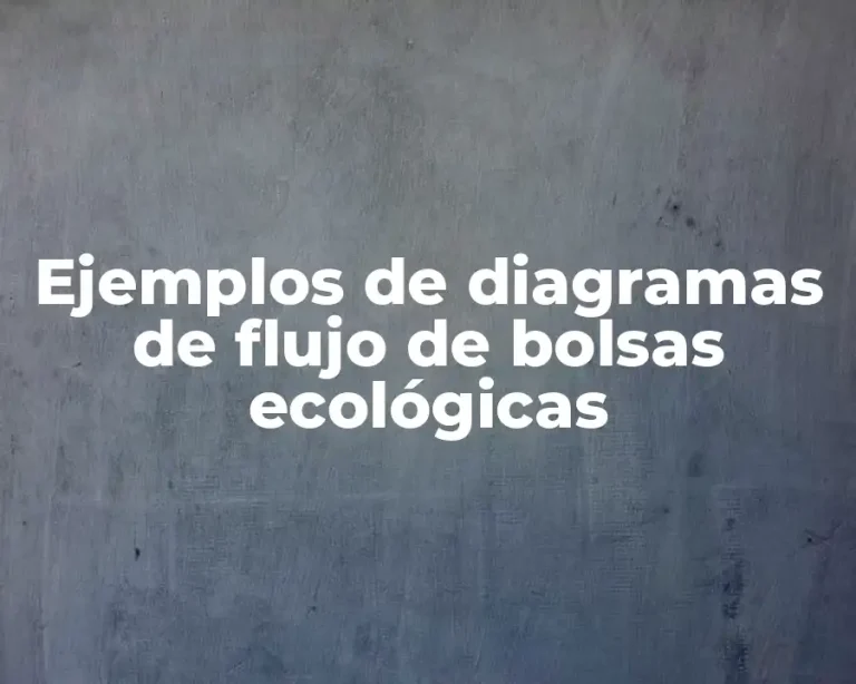 Ejemplos de diagramas de flujo de bolsas ecológicas