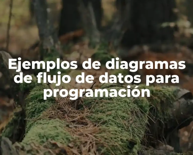 Ejemplos de diagramas de flujo de datos para programación