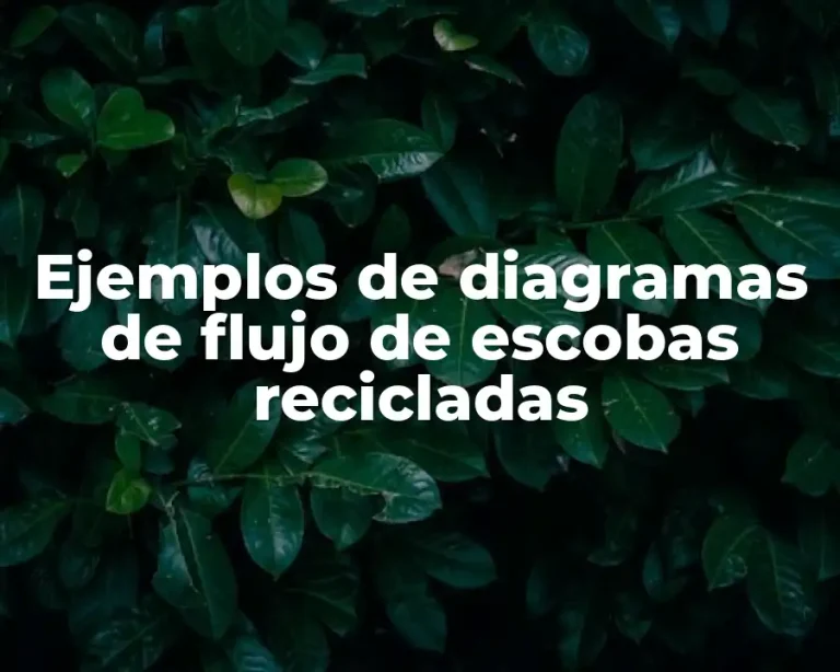 Ejemplos de diagramas de flujo de escobas recicladas