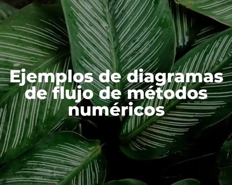 Ejemplos de diagramas de flujo de métodos numéricos