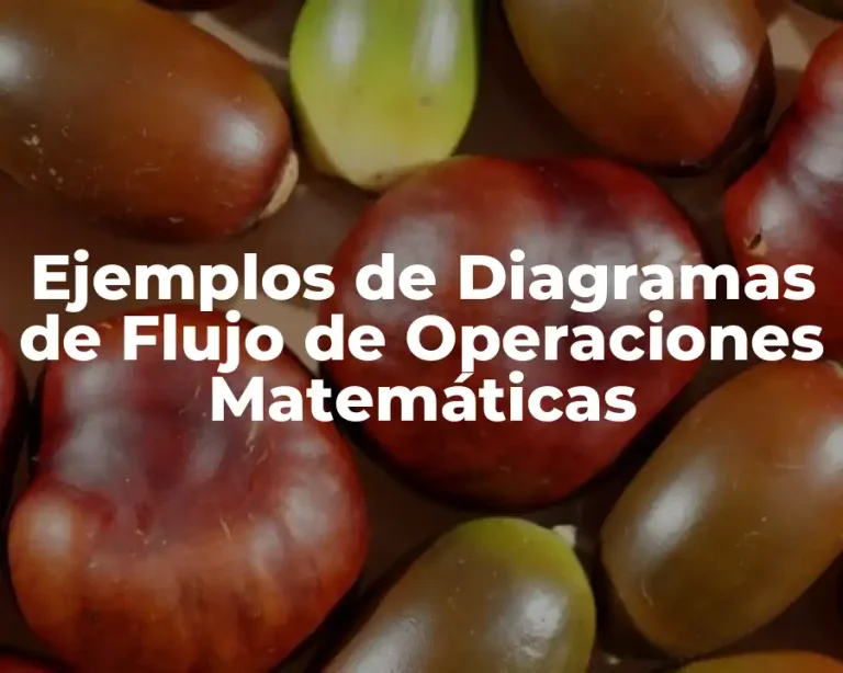 Ejemplos de Diagramas de Flujo de Operaciones Matemáticas