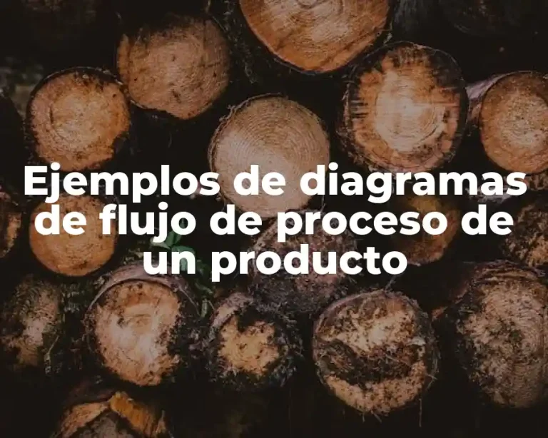 Ejemplos de diagramas de flujo de proceso de un producto