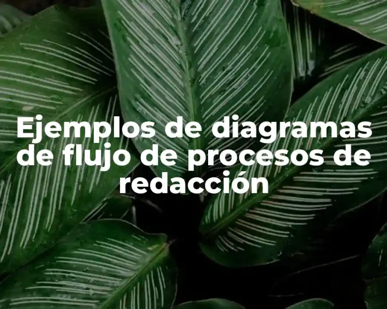 Ejemplos de diagramas de flujo de procesos de redacción