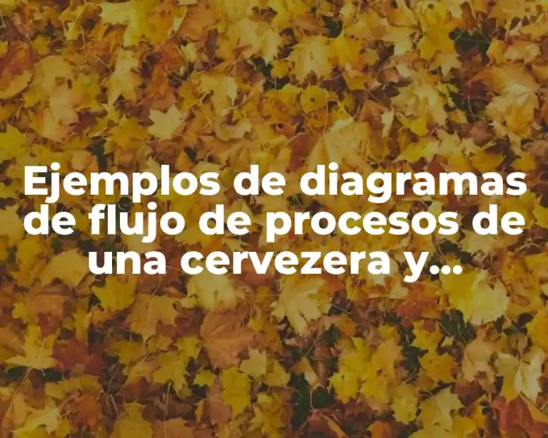 Ejemplos de diagramas de flujo de procesos de una cervezera y Significado