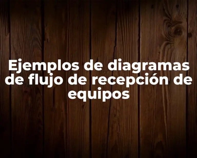 Ejemplos de diagramas de flujo de recepción de equipos
