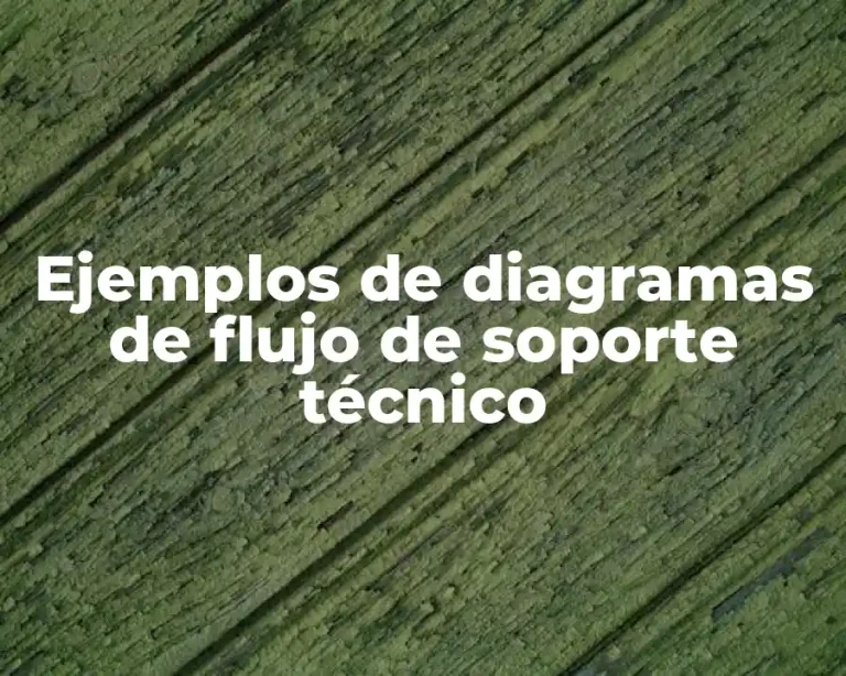 Ejemplos de diagramas de flujo de soporte técnico