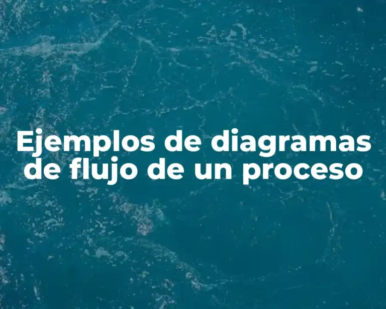 Ejemplos de diagramas de flujo de un proceso