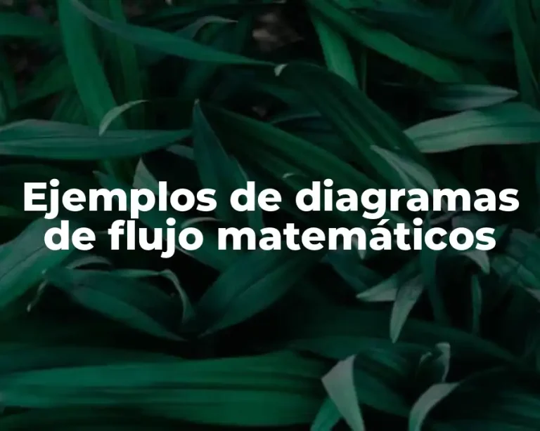 Ejemplos de diagramas de flujo matemáticos