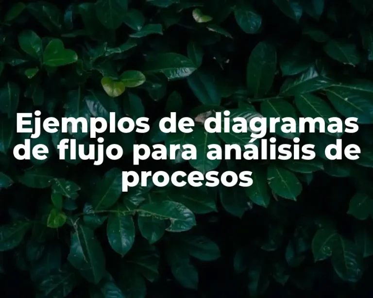 Ejemplos de diagramas de flujo para análisis de procesos