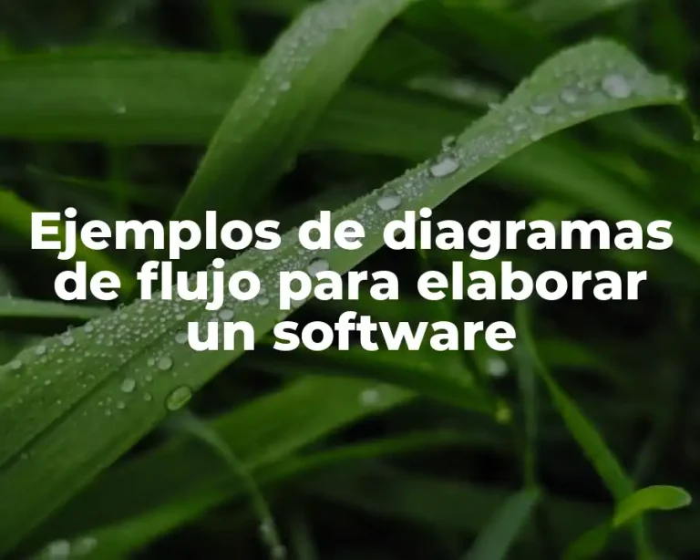 Ejemplos de diagramas de flujo para elaborar un software