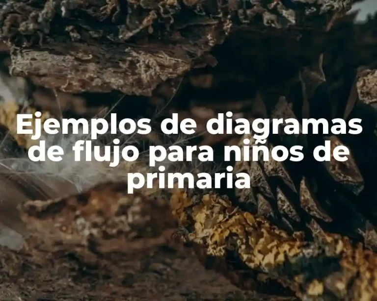 Ejemplos de diagramas de flujo para niños de primaria