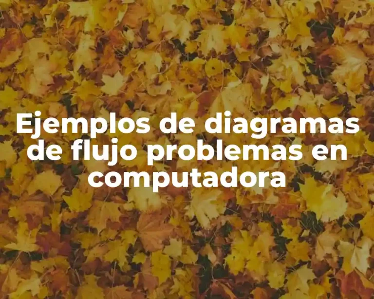 Ejemplos de diagramas de flujo problemas en computadora