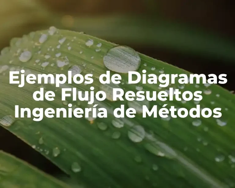 Ejemplos de Diagramas de Flujo Resueltos Ingeniería de Métodos