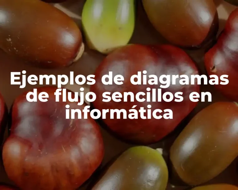Ejemplos de diagramas de flujo sencillos en informática
