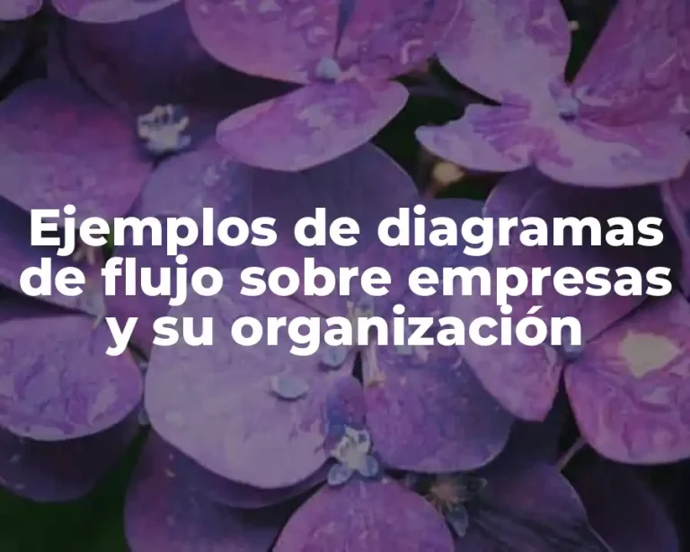 Ejemplos de diagramas de flujo sobre empresas y su organización