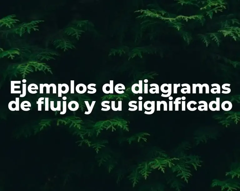 Ejemplos de diagramas de flujo y su significado