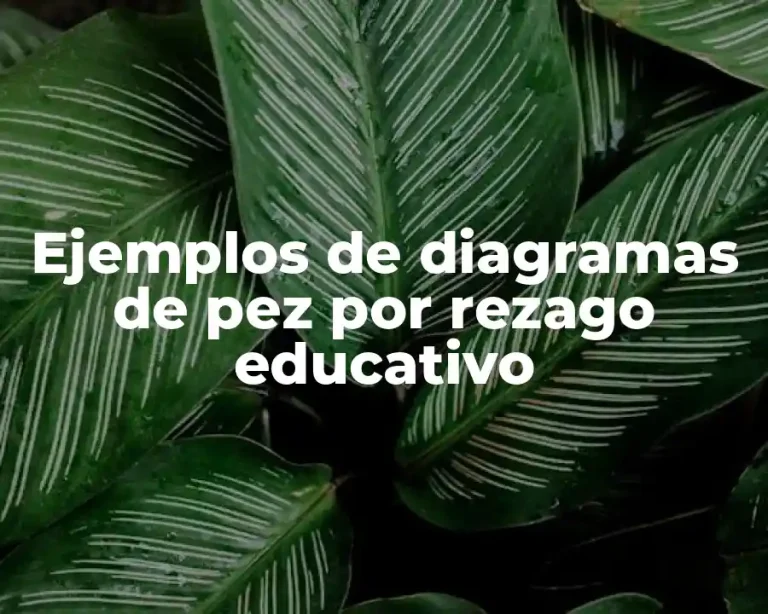 Ejemplos de diagramas de pez por rezago educativo