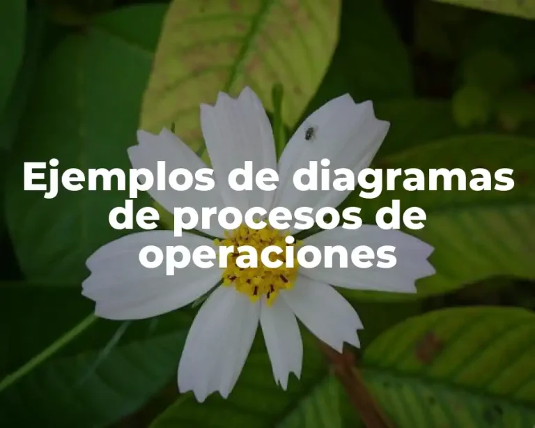 Ejemplos de diagramas de procesos de operaciones