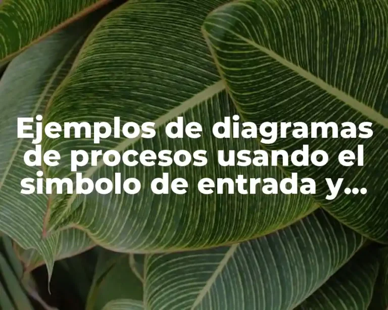 Ejemplos de diagramas de procesos usando el simbolo de entrada y Significado