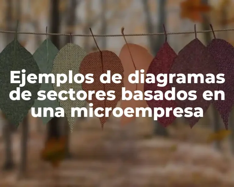 Ejemplos de diagramas de sectores basados en una microempresa