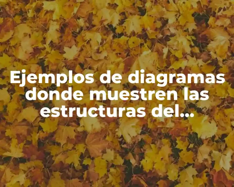 Ejemplos de diagramas donde muestren las estructuras del espermatozoide