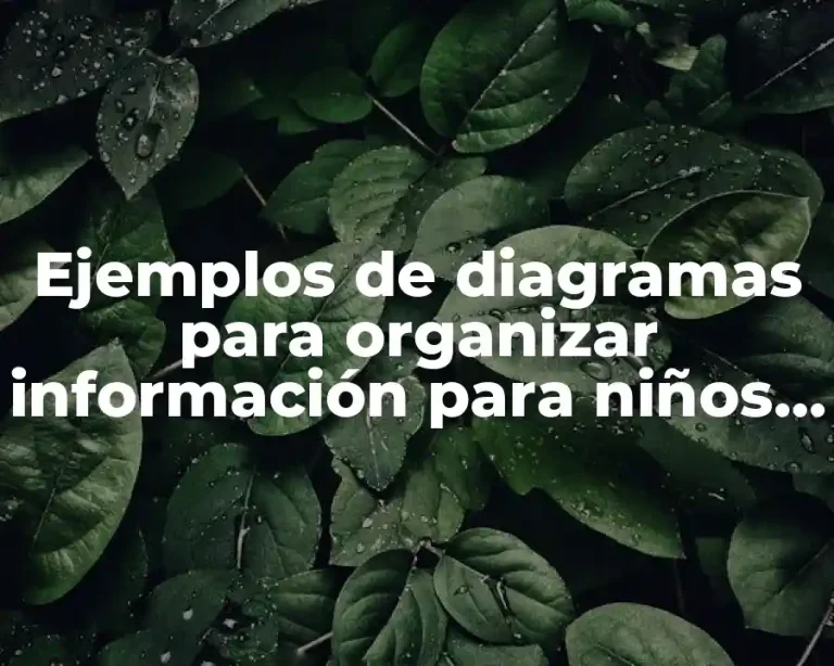 Ejemplos de diagramas para organizar información para niños y Significado