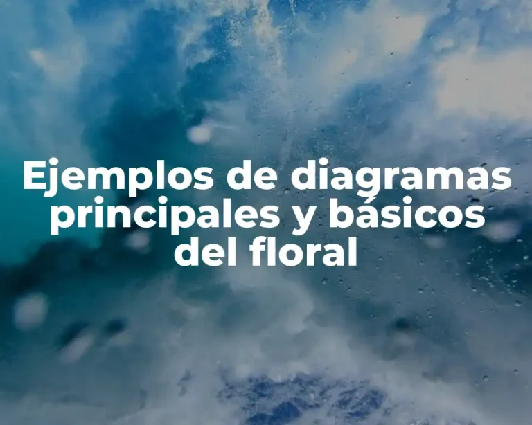Ejemplos de diagramas principales y básicos del floral