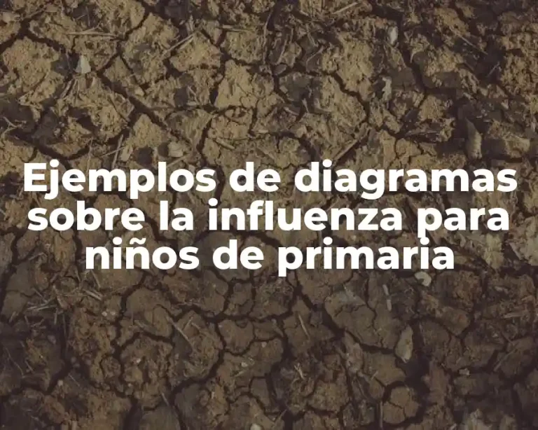 Ejemplos de diagramas sobre la influenza para niños de primaria