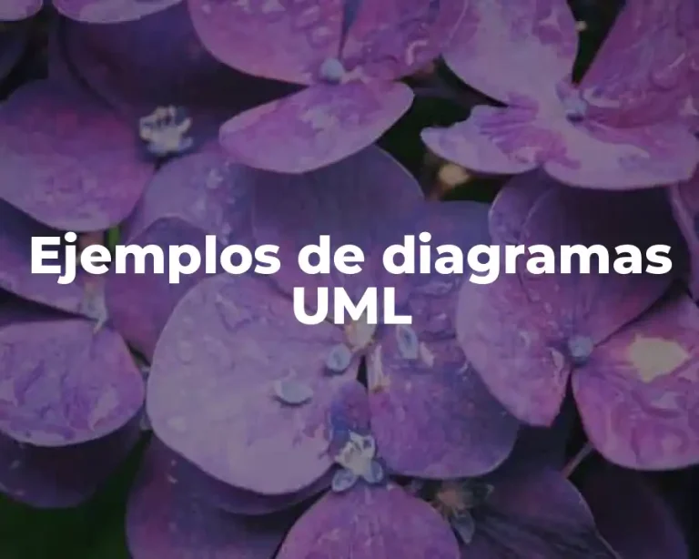 Ejemplos de diagramas UML