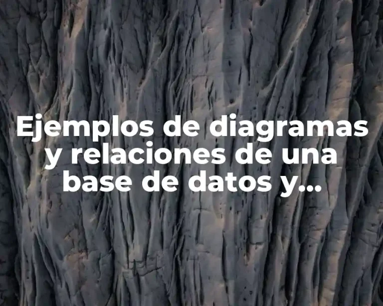 Ejemplos de diagramas y relaciones de una base de datos y Significado