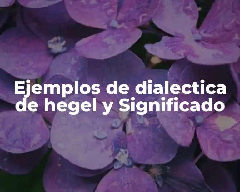 Ejemplos de dialectica de hegel y Significado