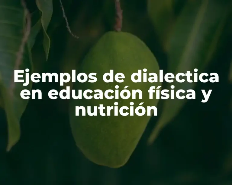Ejemplos de dialectica en educación física y nutrición