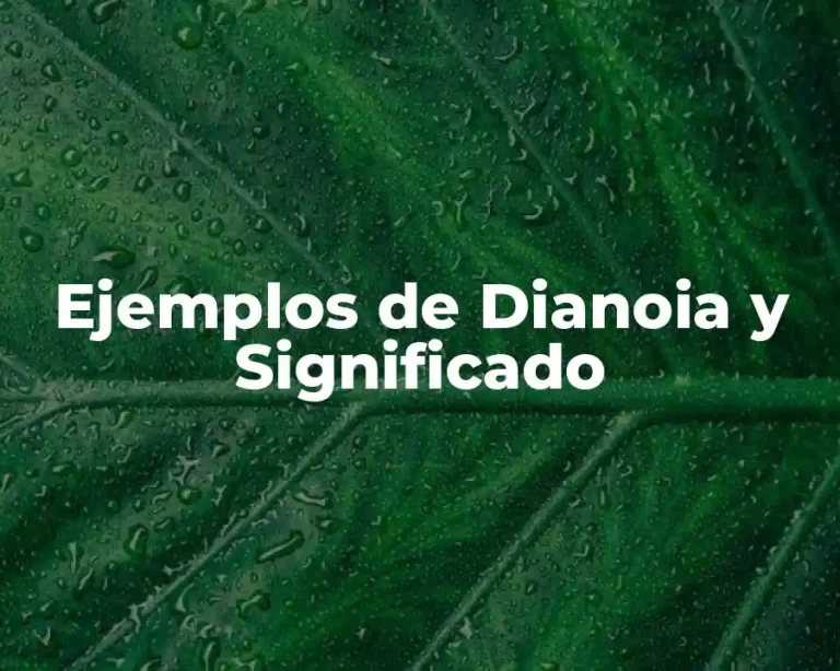 Ejemplos de Dianoia y Significado