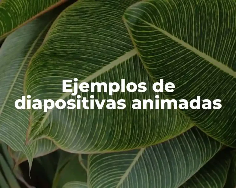 Ejemplos de diapositivas animadas