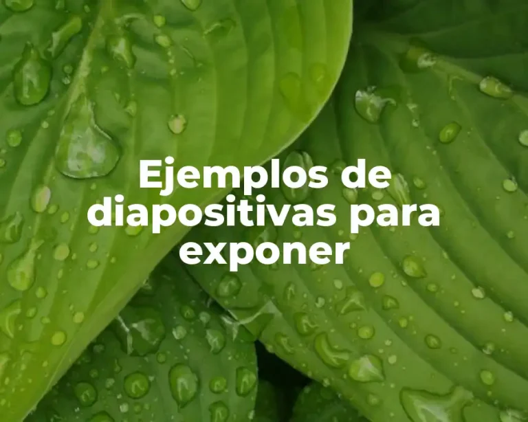 Ejemplos de diapositivas para exponer