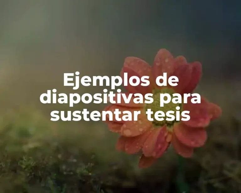 Ejemplos de diapositivas para sustentar tesis